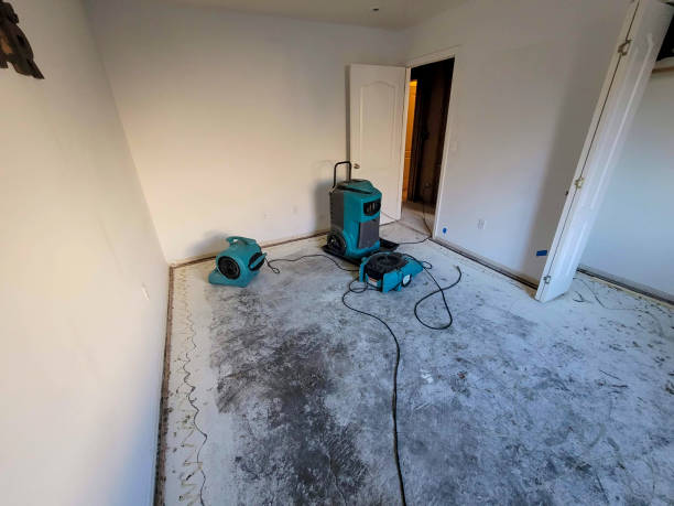 Professional Water damage restoration in Capitol Heights, MD