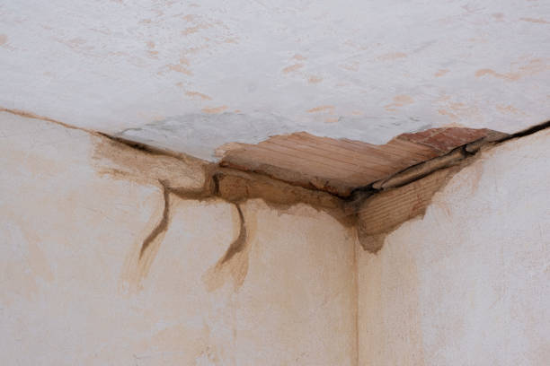 Best Residential water damage restoration  in Capitol Heights, MD