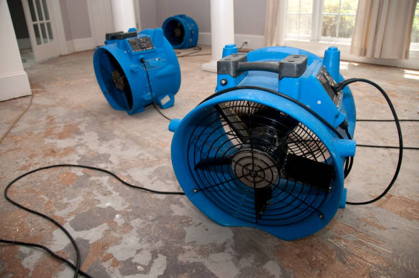Best Mold removal after water damage  in Capitol Heights, MD