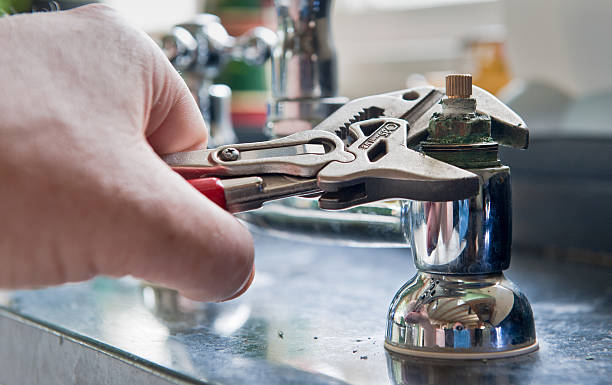 Best Mold removal after water damage  in Capitol Heights, MD
