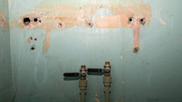 Best 24/7 water damage repair  in Capitol Heights, MD