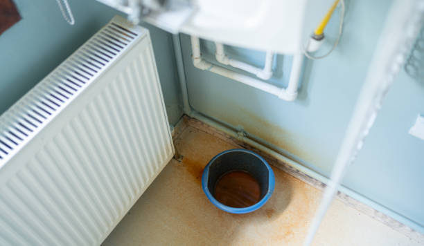 Best Carpet water damage restoration  in Capitol Heights, MD