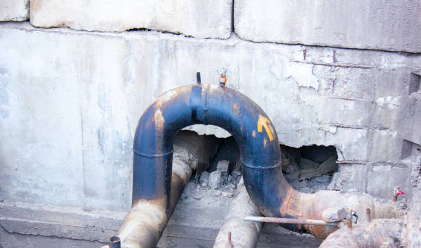 Best Professional water damage repair  in Capitol Heights, MD