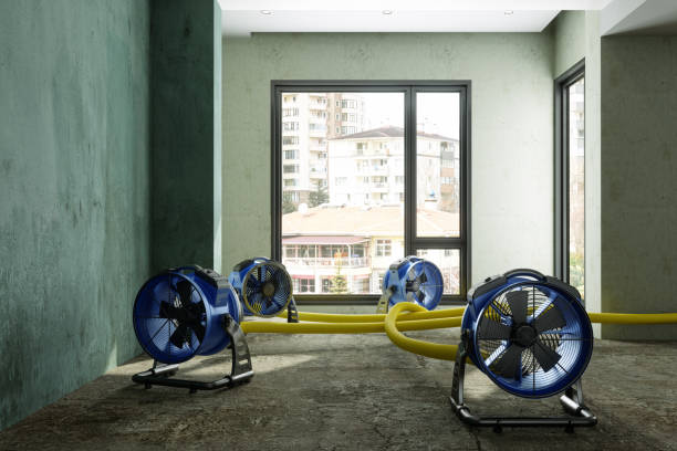 Best Sewage cleanup and water damage restoration  in Capitol Heights, MD