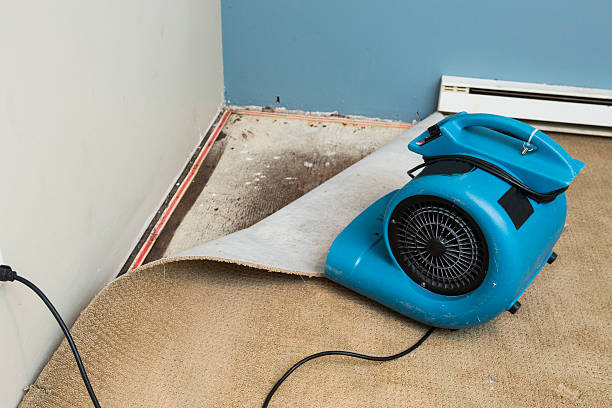 Best Sewage cleanup and water damage restoration  in Capitol Heights, MD